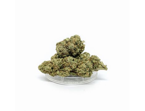 Sativa Poland Susz CBD Kosher Kush - 2